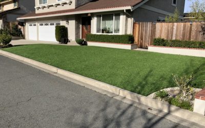 10 Year Install Anniversary: Why Artificial Grass Made Sense