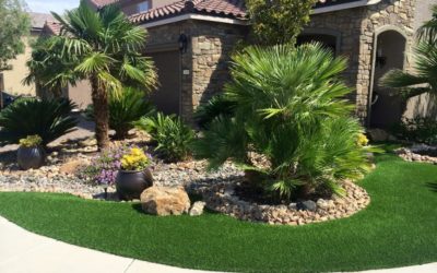 Why Artificial Grass? A New Answer to an Old Question